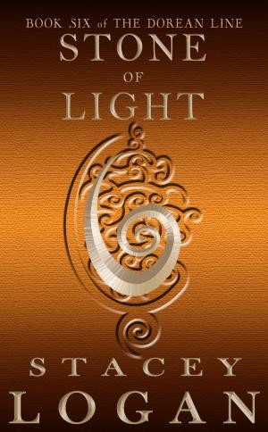 Cover of the book Stone of Light by Rabia Gale