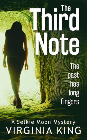 Book cover of The Third Note