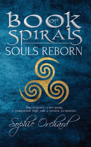 Cover of the book Book of Spirals - Souls Reborn by Jeff Smith