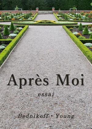 Cover of the book Après Moi by Kayleen Parr