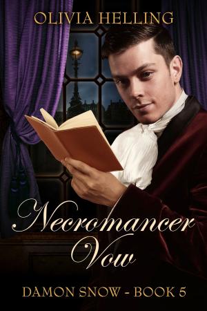 Cover of the book Necromancer Vow by Maggie O'Dempsey