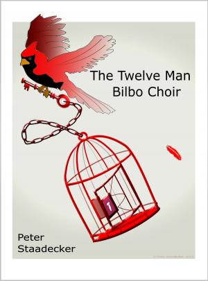 Cover of the book The Twelve Man Bilbo Choir by Sam Pink