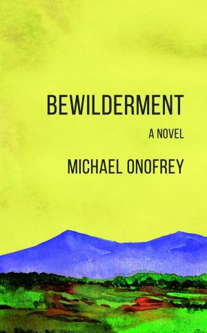 Book cover of Bewilderment