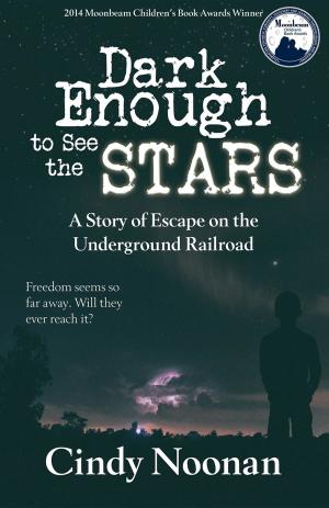 Cover of the book Dark Enough to See the Stars by K