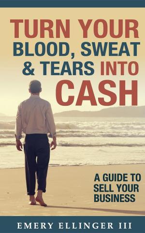 Book cover of Turn Your Blood, Sweat & Tears Into Cash