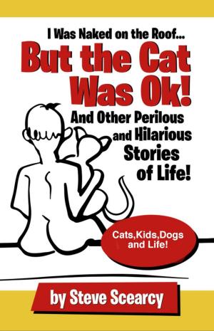 Cover of the book I Was Naked On The Roof But The Cat Was OK! by Mature Jokemaker Jr.