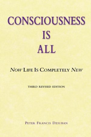 Book cover of Consciousness Is All