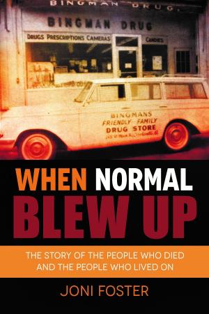 bigCover of the book When Normal Blew Up by 