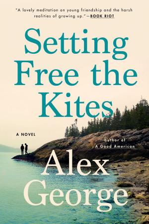 Cover of the book Setting Free the Kites by Amy Ettinger