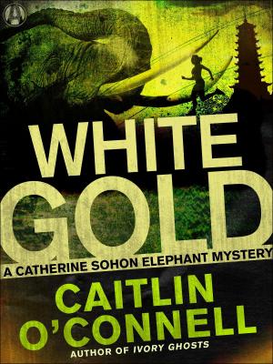Cover of the book White Gold by Betina Krahn