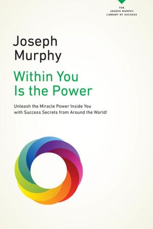 Cover of the book Within You Is the Power by David Solie