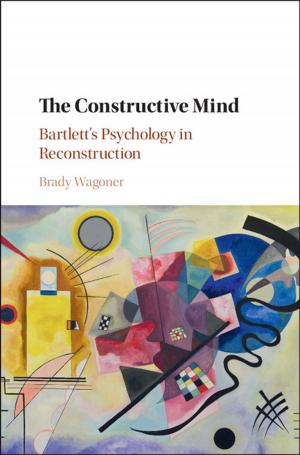 Cover of the book The Constructive Mind by Donald R. Rothwell, Stuart Kaye, Afshin Akhtarkhavari, Ruth Davis