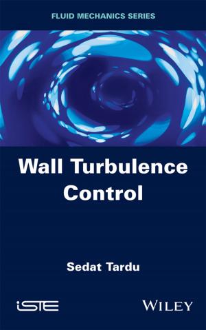 Cover of the book Wall Turbulence Control by Bruce R. Thompson, Brigitte M. Borg, Robyn E. O'Hehir