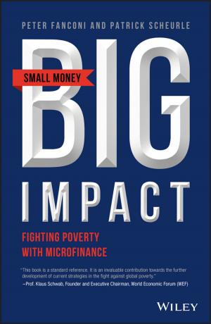 Cover of the book Small Money Big Impact by Sally Guttmacher, Patricia J. Kelly, Yumary Ruiz-Janecko