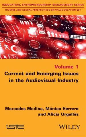 Cover of the book Current and Emerging Issues in the Audiovisual Industry by Christine Whitlock