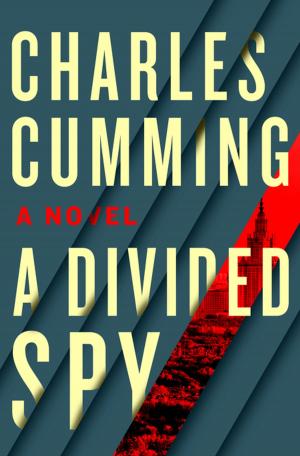 bigCover of the book A Divided Spy by 