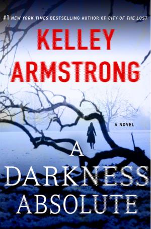 Book cover of A Darkness Absolute