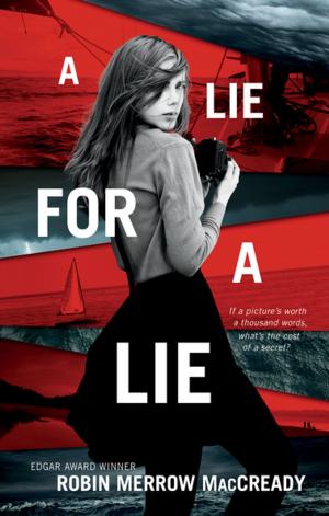 bigCover of the book A Lie for a Lie by 