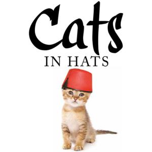 Cover of the book Cats in Hats by Dimitri Verhulst