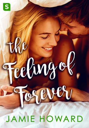 Cover of the book The Feeling of Forever by Jennifer Estep
