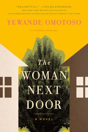 Cover of the book The Woman Next Door by Keith Donohue