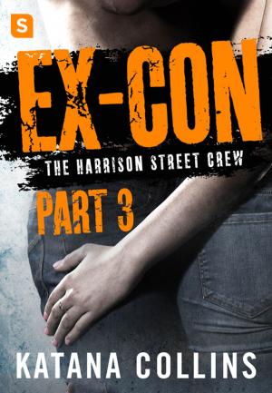 Cover of the book Ex-Con: Part 3 by E. Katherine Kottaras