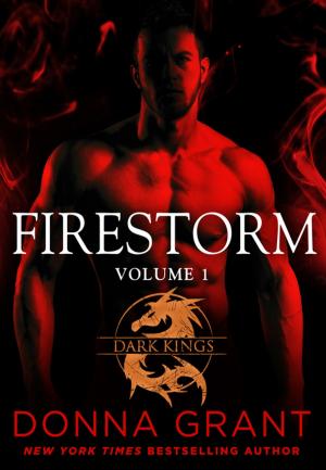 Cover of the book Firestorm: Volume 1 by Joan Aiken