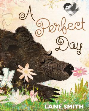 Cover of the book A Perfect Day by Steve Sheinkin