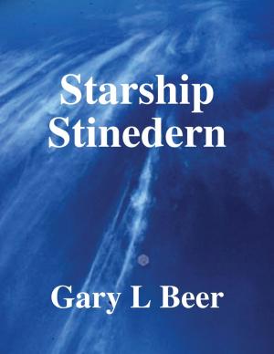 Book cover of Starship Stinedern