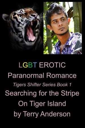 Cover of LGBT Erotic Paranormal Romance Searching For the Stripe on Tiger Island (Tiger Shifter Series Book 1)