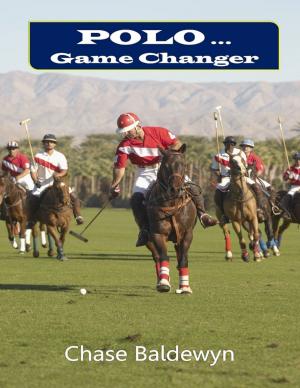 Cover of the book Polo ... Game Changer by John O'Loughlin