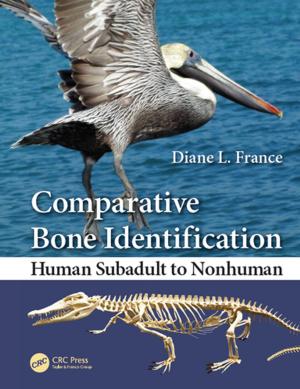 Cover of the book Comparative Bone Identification by 