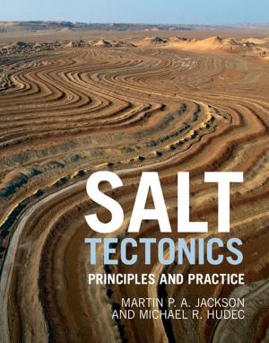bigCover of the book Salt Tectonics by 