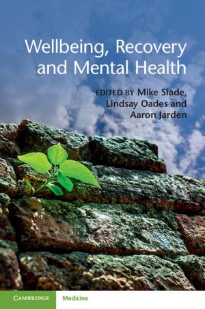 Cover of the book Wellbeing, Recovery and Mental Health by Jeremy J. Smith