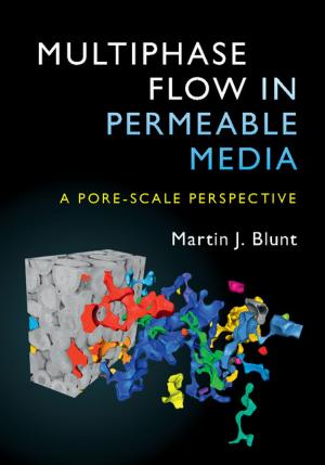 Book cover of Multiphase Flow in Permeable Media