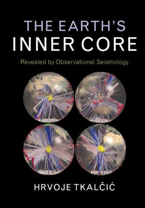 Cover of the book The Earth's Inner Core by Hiroyuki Matsumoto, Setsuo Taniguchi