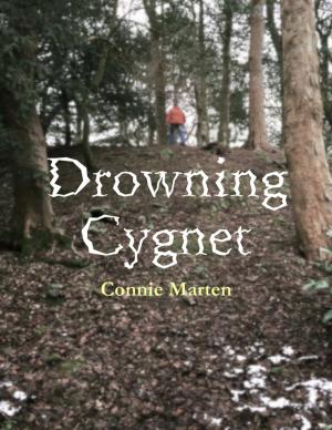 Cover of the book Drowning Cygnet by Daniel Blue