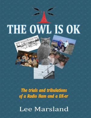 Cover of the book The Owl Is Ok:The Trials and Tribulations of a Radio Ham and a Dx-er by Lev Well