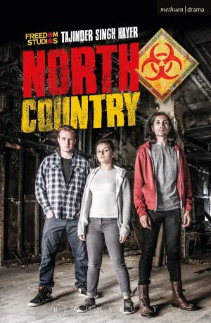 Cover of the book North Country by Pier Paolo Battistelli