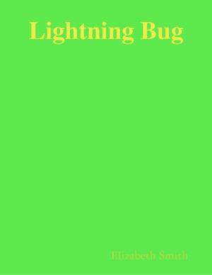 Book cover of Lightning Bug