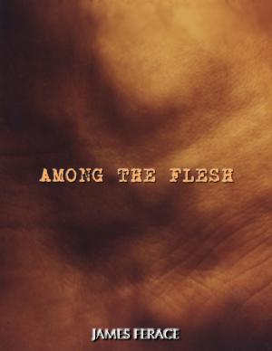 Cover of the book Among the Flesh by Kwassi Anan