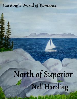 Cover of the book North of Superior by Jeff Bagato