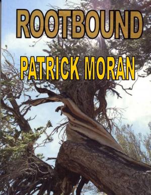 Cover of the book Rootbound by Vanessa Liebe