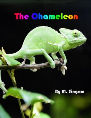 Cover of the book The Chameleon by Rick Doble