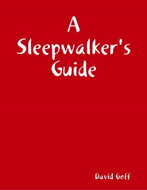 Cover of the book A Sleepwalker's Guide by Mary DeNune