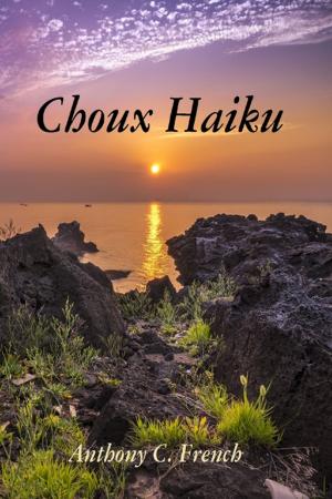 Cover of the book Choux Haiku by Oluwagbemiga Olowosoyo