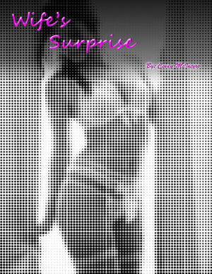 bigCover of the book Wife's Surprise by 