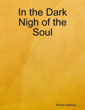 Cover of the book In the Dark Nigh of the Soul by John Jackson Miller