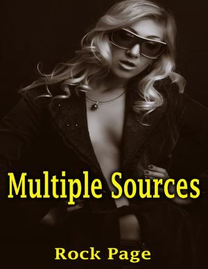 Cover of the book Multiple Sources by Midwestern Gothic