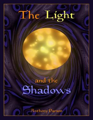 Cover of the book The Light and the Shadows by Joseph Correa
